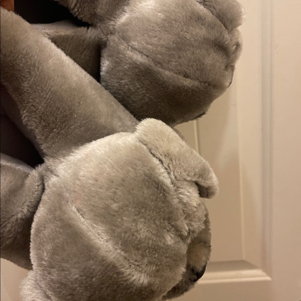 Buy Animal Feet size large shoe please check all picture of condition - Picture 16 of 17